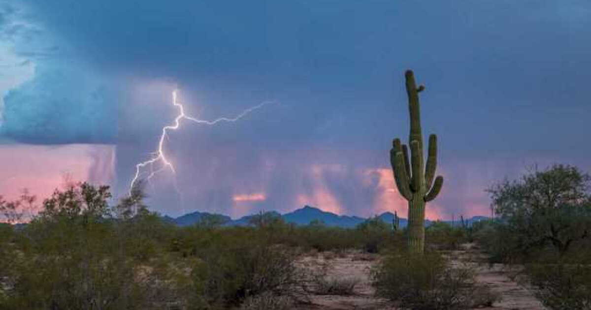 Monsoon Dangers to Look Out For
